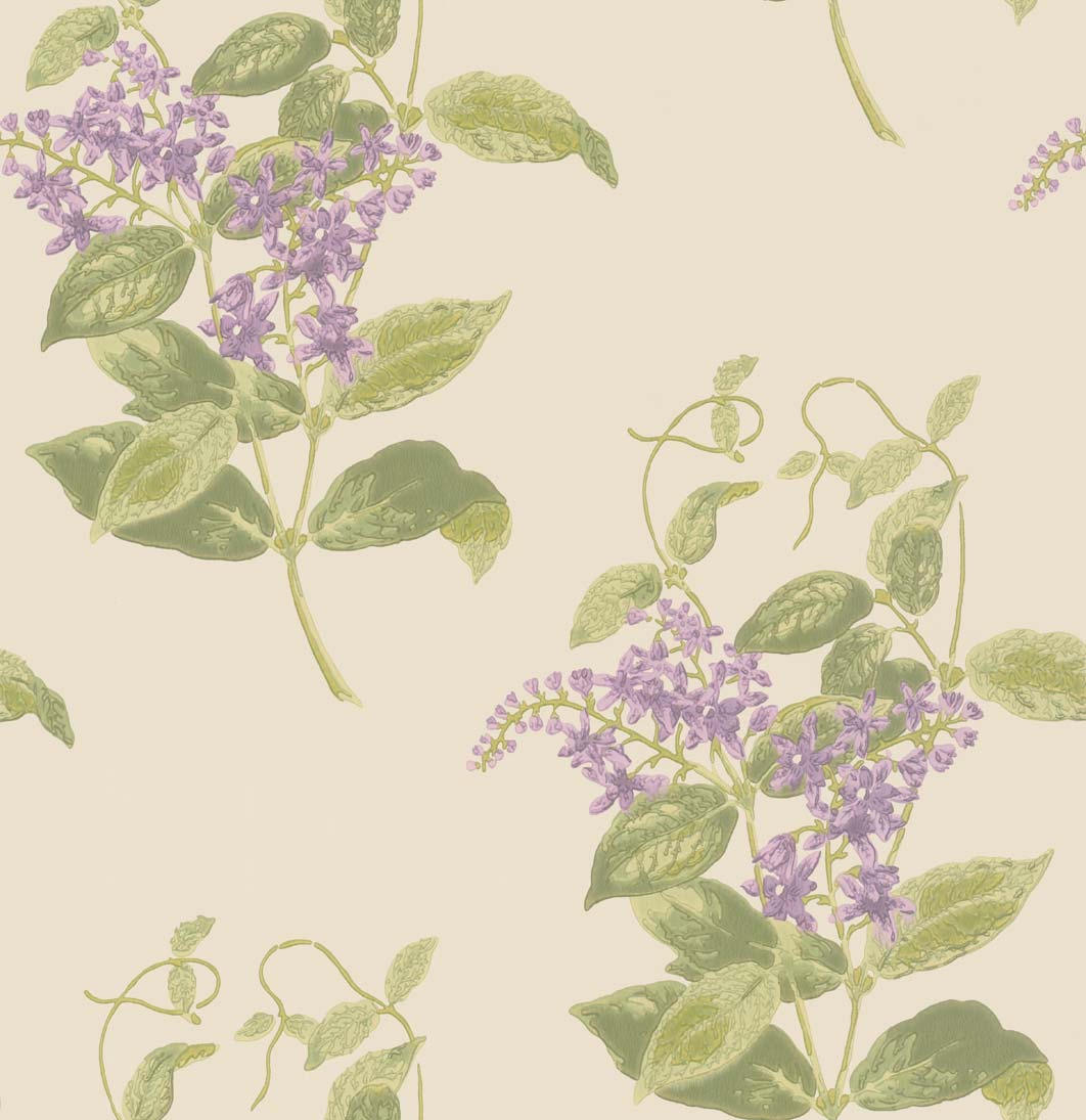 Wallpaper - Cole and Son - Archive Anthology - Madras Violet-Madras Violet 12056 - Straight match - 52 cm x 10.05 m