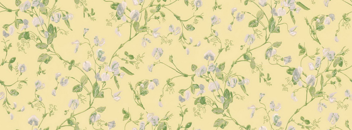 Wallpaper - Cole and Son - Archive Anthology - Sweet Pea-Sweet Pea 6029 - Half drop - 52 cm x 10.05 m