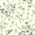 Wallpaper – Cole and Son – Archive Anthology – Sweet Pea – Sweet Pea 6030
