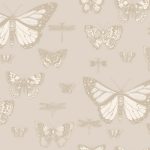Wallpaper – Cole and Son – Whimsical – Butterflies & Dragonflies – Grey