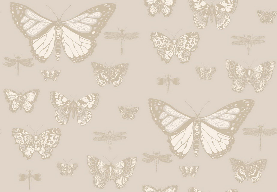 Wallpaper – Cole and Son – Whimsical – Butterflies & Dragonflies – Grey