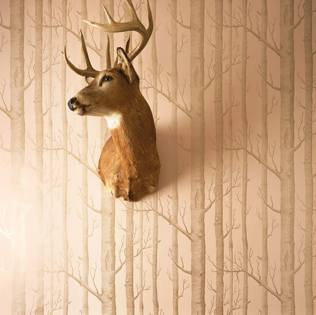 Wallpaper - Cole and Son - Whimsical - Woods - Half drop - 52 cm x 10 m