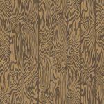 Tapet-Cole_and_Son-Curio_Zebrawood-Tiger-1