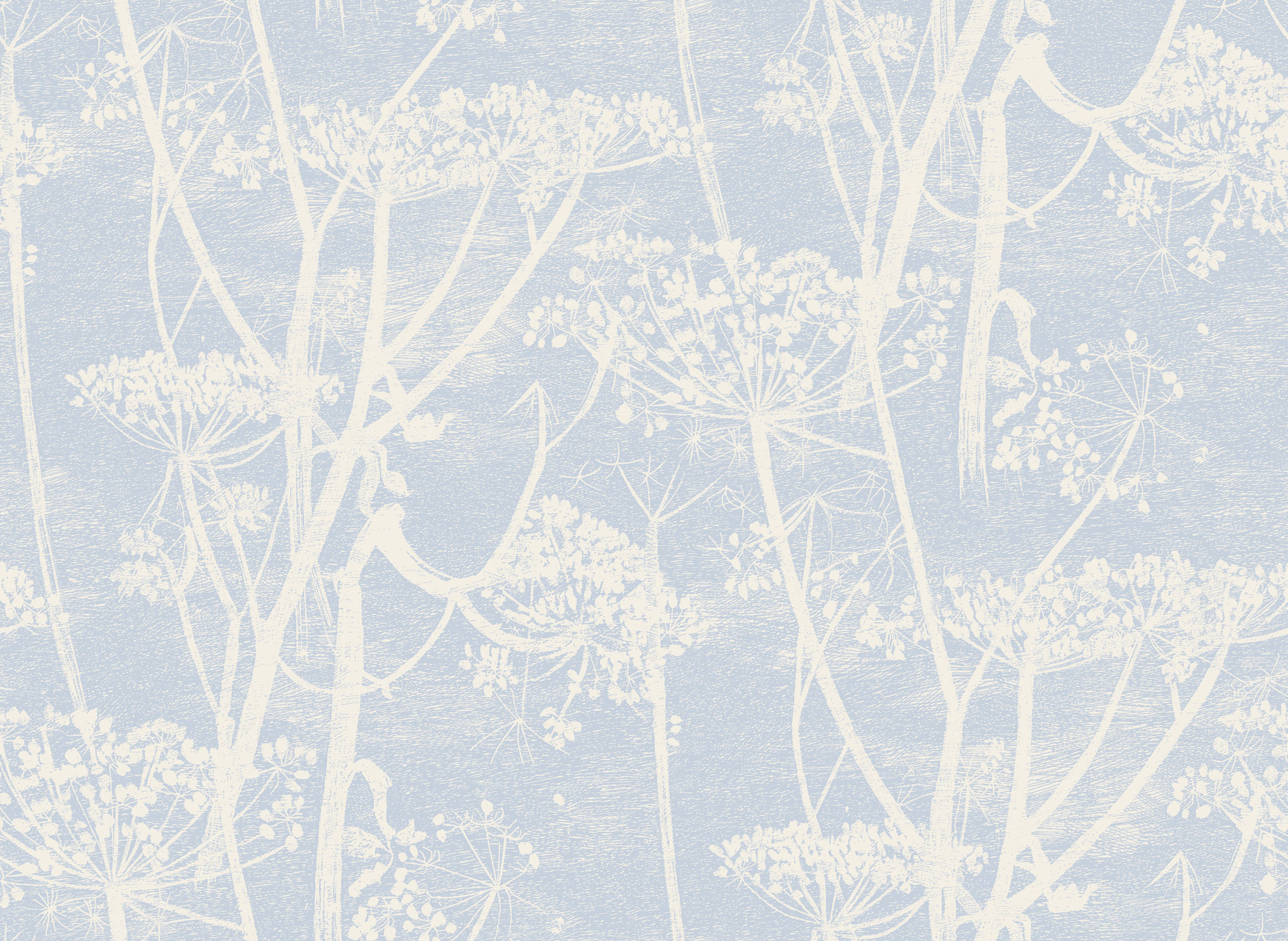 Tapet-Cole_and_Son-New_ContemporaryCow-Parsley-Blue-1