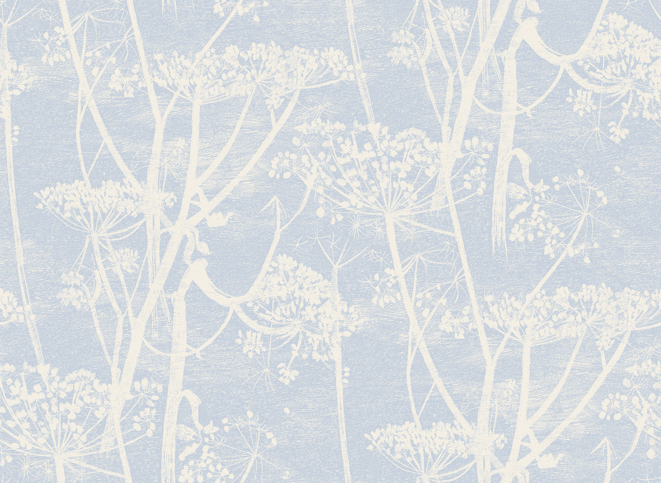 Tapet - Cole and Son - New Contemporary- Cow Parsley - Blue