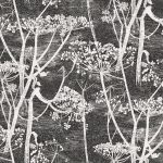 Wallpaper-Cole_and_Son-New_ContemporaryCow-Parsley-White-4