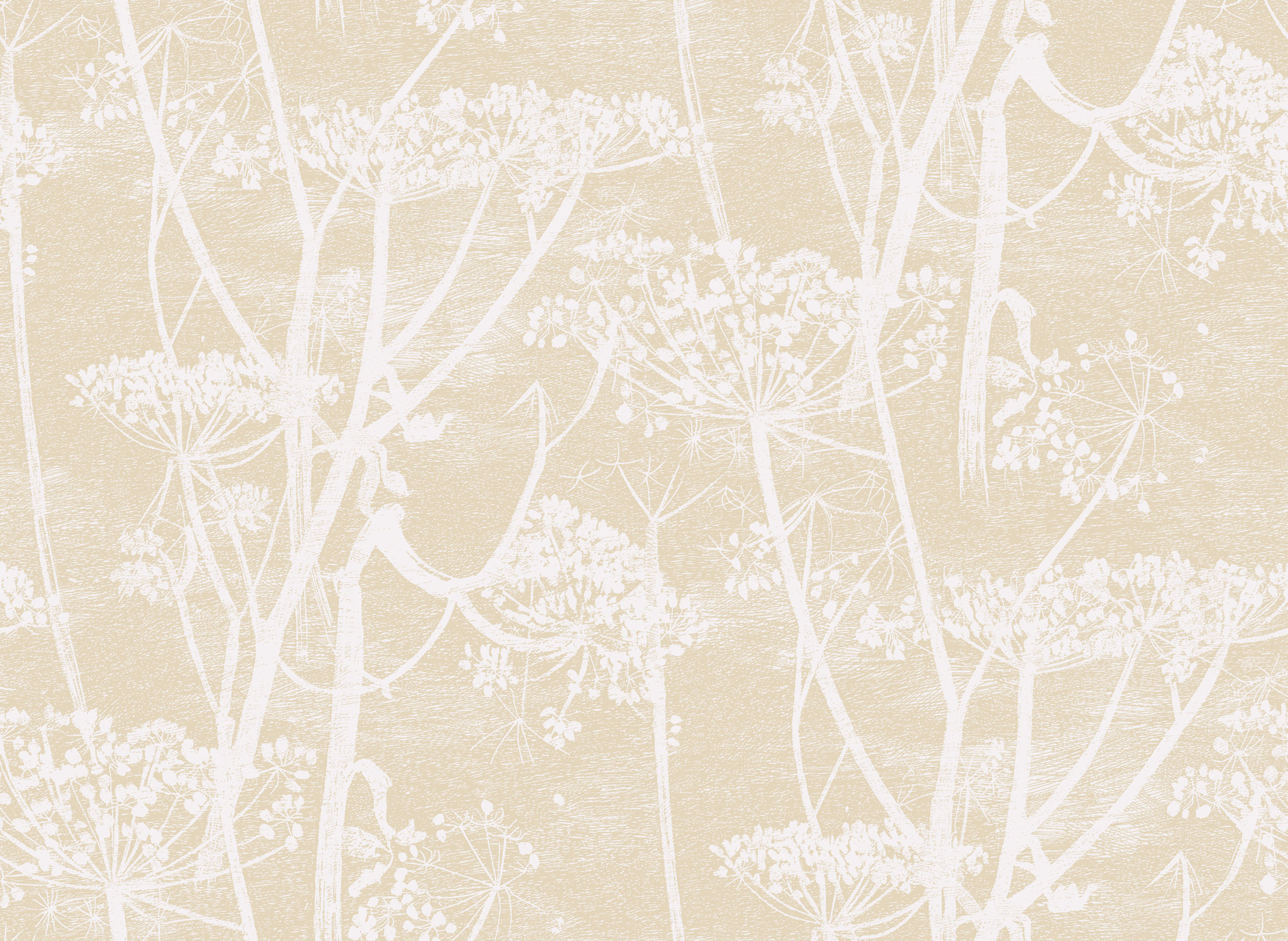 Wallpaper – Cole and Son – New Contemporary – Cow Parsley – Yellow