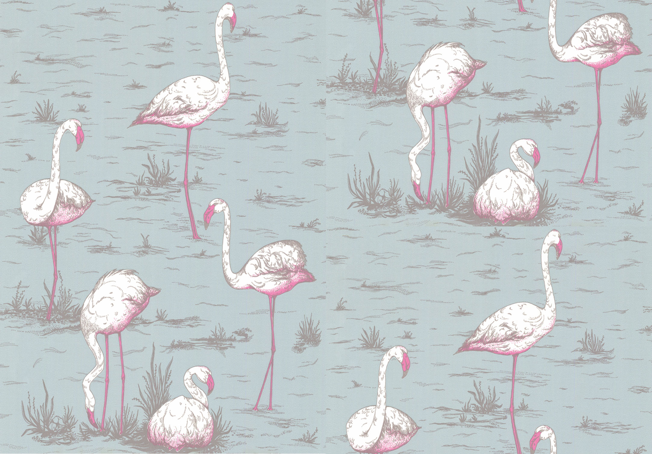 Tapet - Cole and Son - New Contemporary- Flamingos - Pink on Blue