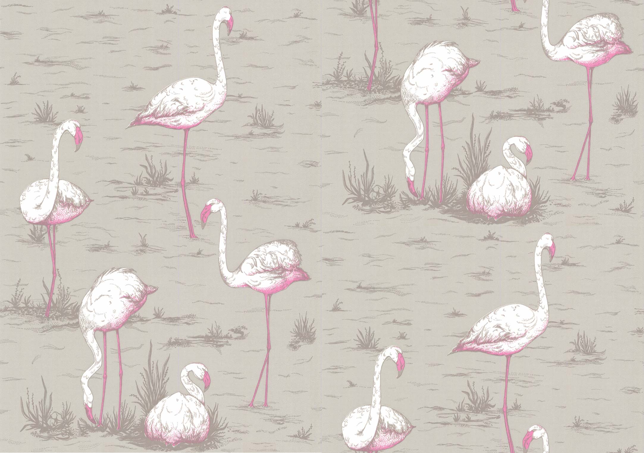 Wallpaper - Cole and Son - New Contemporary- Flamingos - Pink on Beige