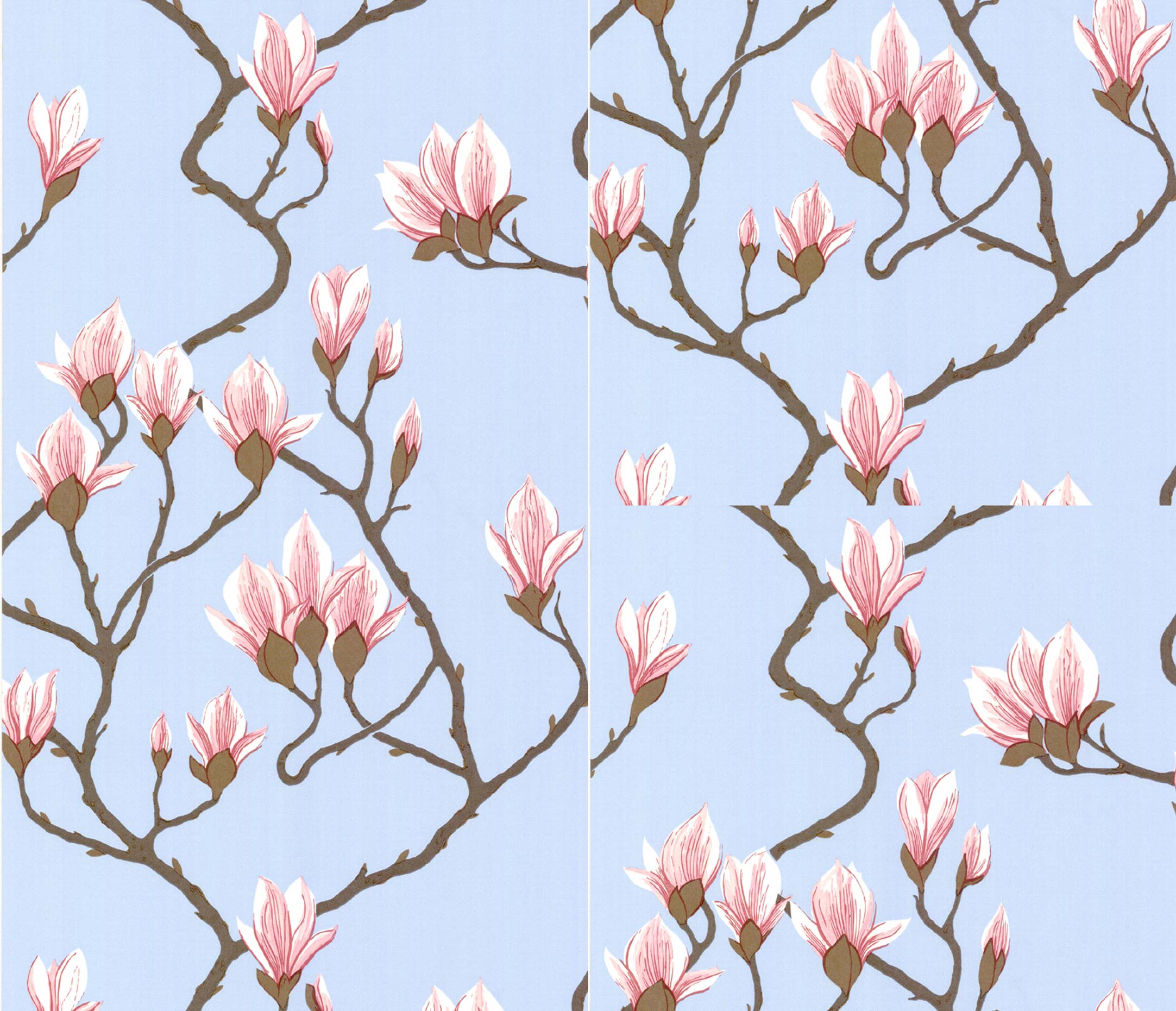 Wallpaper - Cole and Son - New Contemporary- Magnolia - Pink on Sky Blue