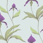 Wallpaper – Cole and Son – New Contemporary – Orchid – Pastel