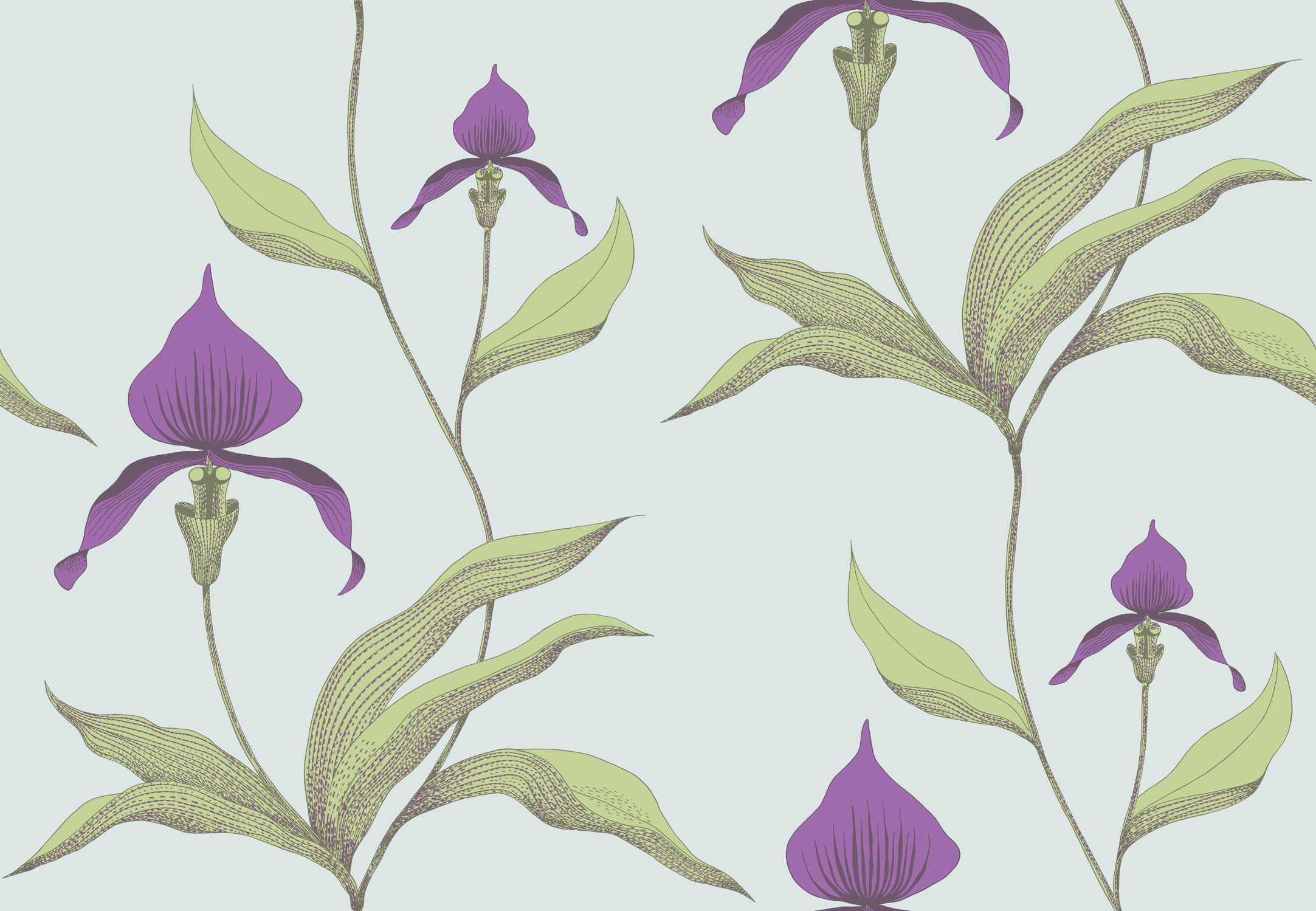 Tapet - Cole and Son - New Contemporary- Orchid - Pastel