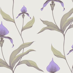 Wallpaper - Cole and Son - New Contemporary- Orchid - Stone