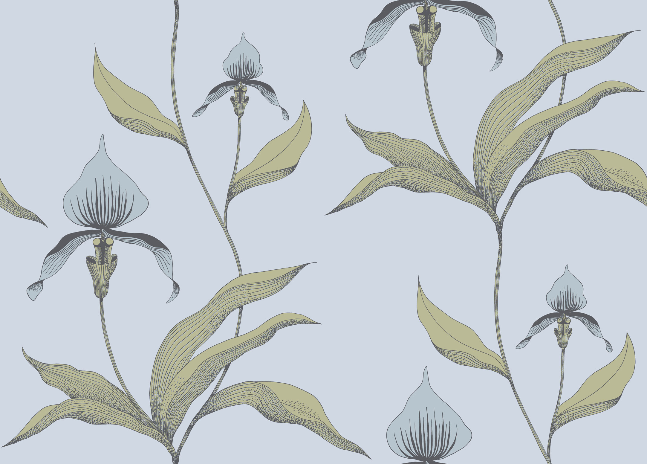 Wallpaper - Cole and Son - New Contemporary- Orchid - Sky