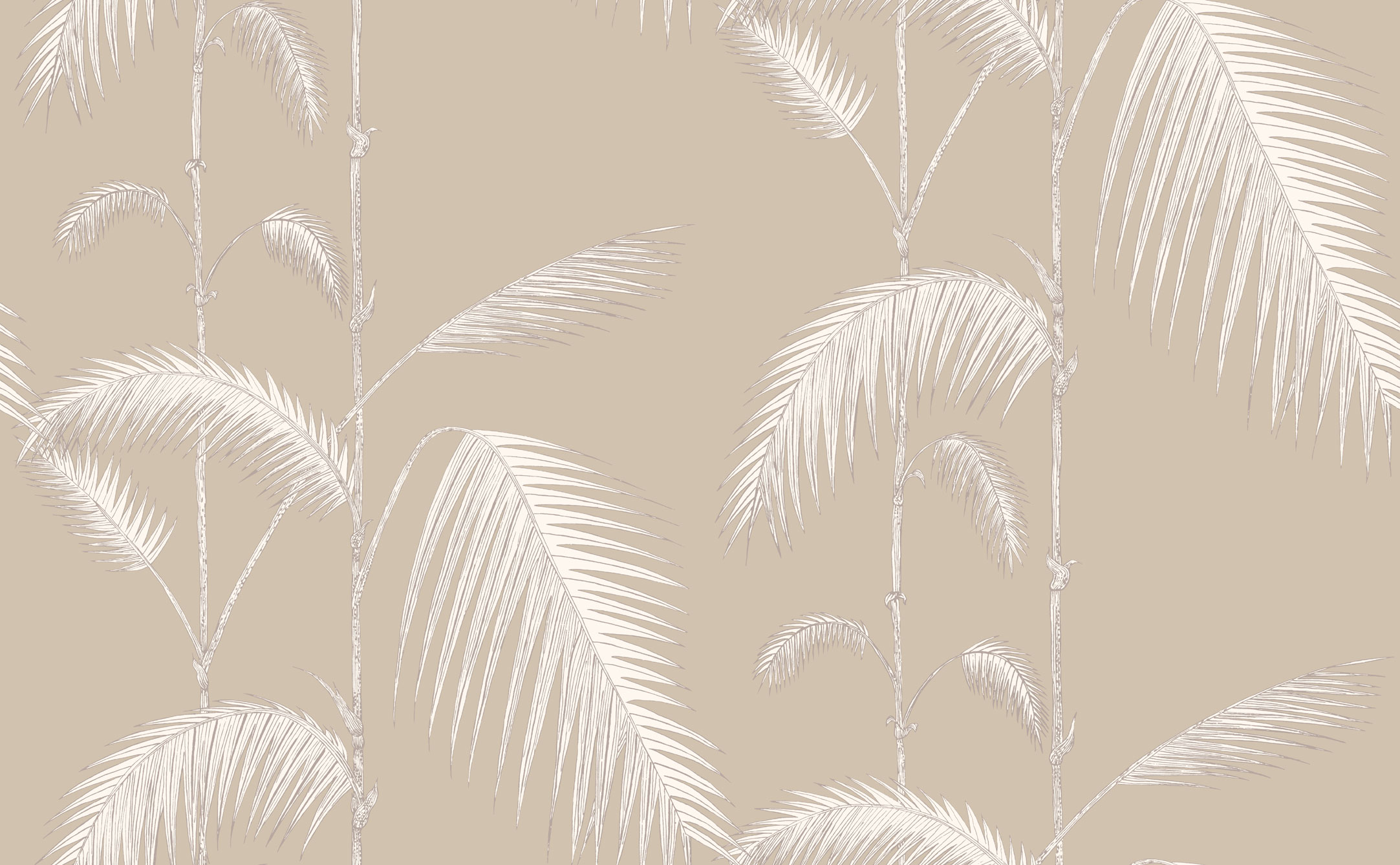 Tapet - Cole and Son - New Contemporary- Palm Leaves - Beige