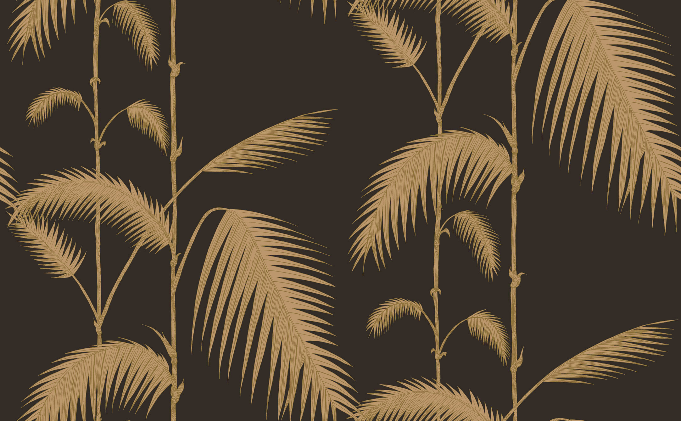 Tapet - Cole and Son - New Contemporary- Palm Leaves - Brown