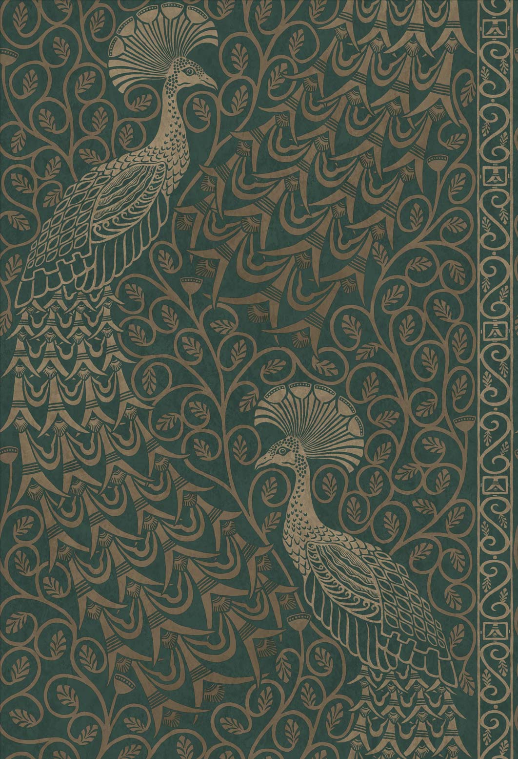 Wallpaper - Cole and Son - Pearwood - Pavo Parade - Metallic Gilver on Racing Car Green