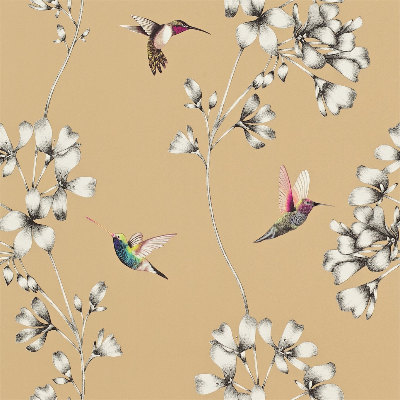 Tapet - Harlequin -  Amazilia Wallpaper -  Amazilia Bronze