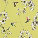 Wallpaper – Harlequin – Amazilia – Amazilia – Gooseberry