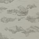 Wallpaper – Harlequin – Amazilia – Nuvola – Charcoal & Silver
