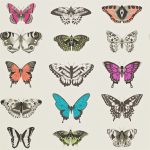 Wallpaper-Harlequin-Papilio-Flamingo-Papaya-Olive-1