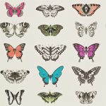 Tapet-Harlequin-Papilio-Flamingo-Papaya-Olive-1