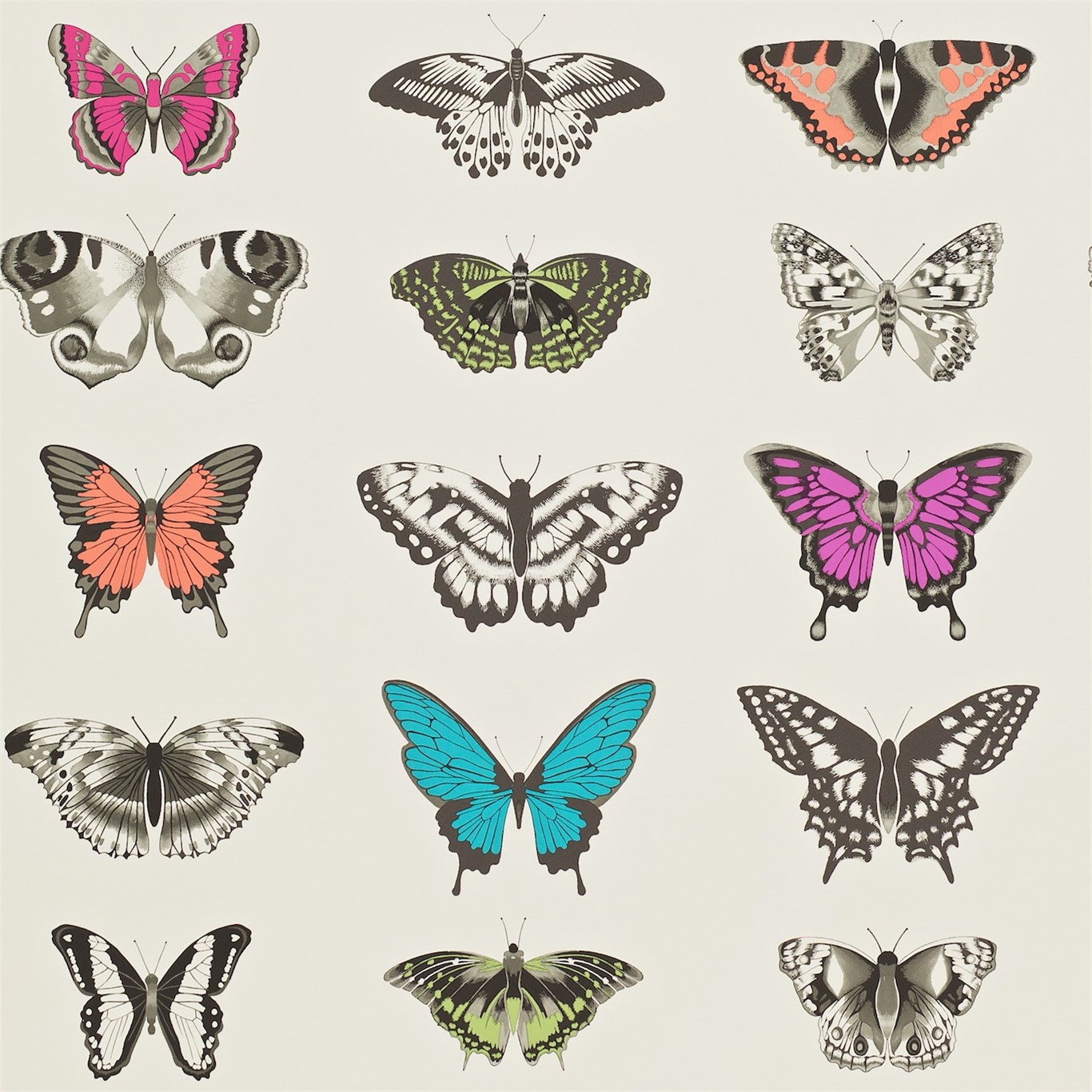 Wallpaper - Harlequin -  Amazilia Wallpaper -  Papilio Flamingo / Papaya / Olive