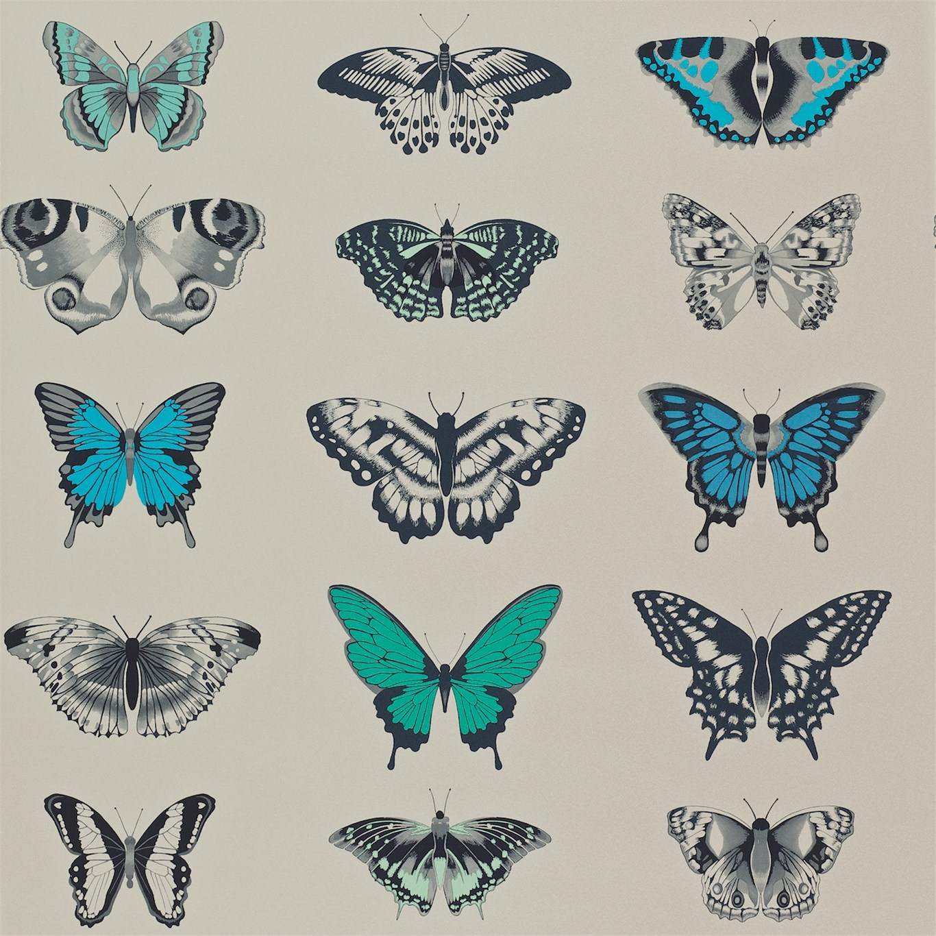 Wallpaper - Harlequin -  Amazilia Wallpaper -  Papilio Lagoon / Indigo / Emerald