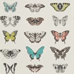 Tapet-Harlequin-Papilio-PeachLagoonZest-2