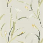 Tapet – Harlequin – Zapara Wallpapers – Saona – Ochre/Linen