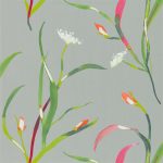 Wallpaper-Harlequin-Saona-PapayaSilver-2