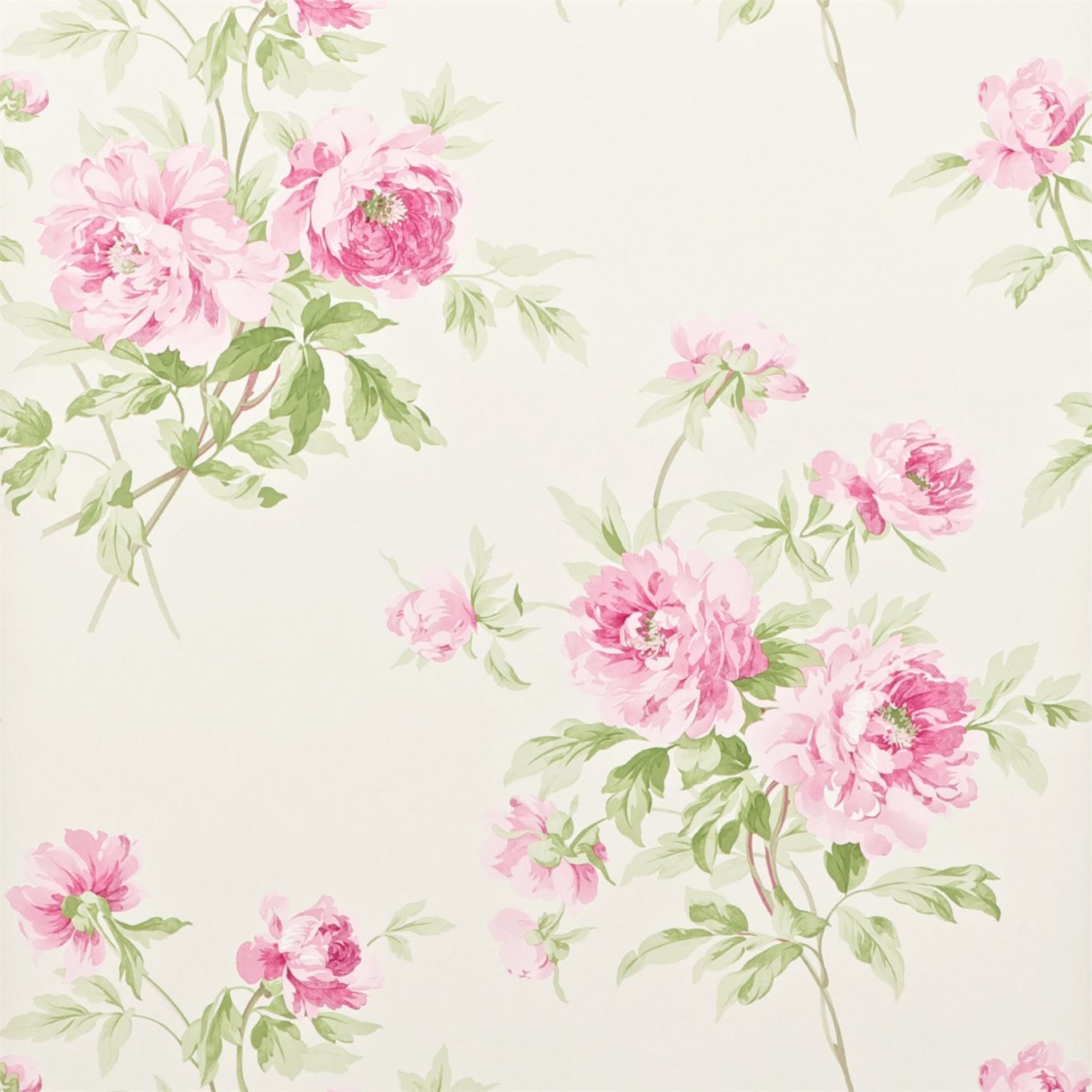 Wallpaper - Sanderson Caverley Wallpapers Adele Raspberry/Ivory