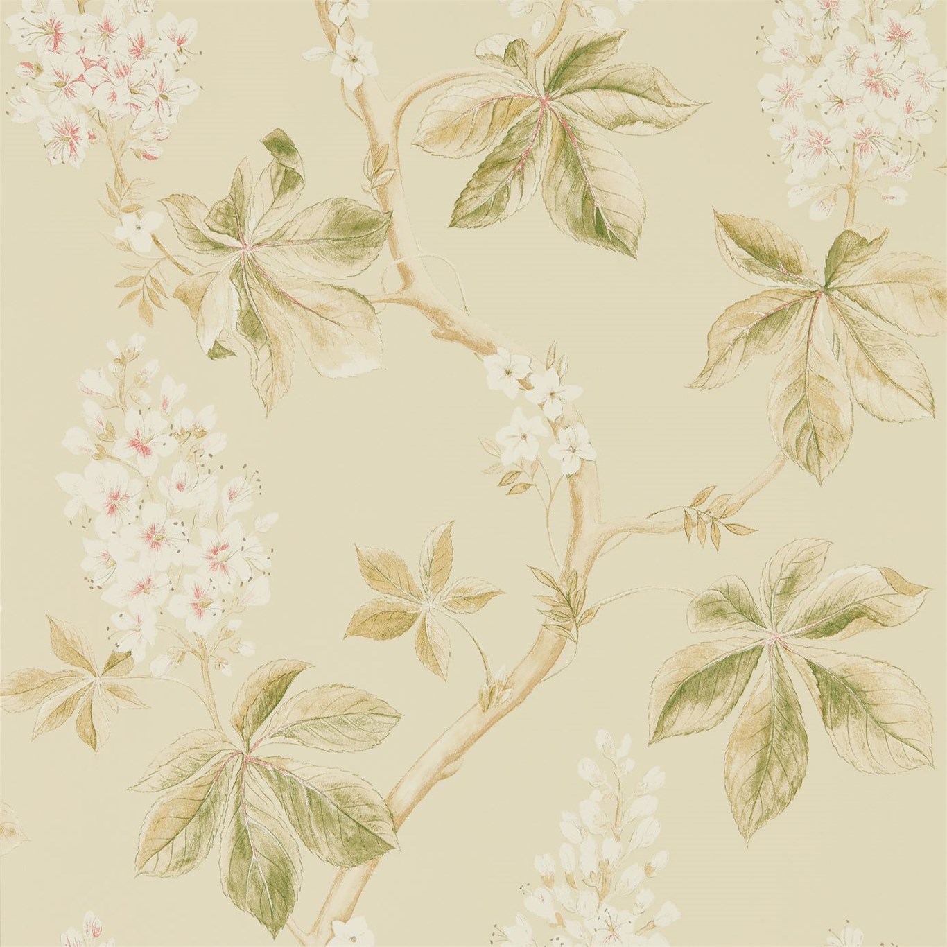 Tapet - Sanderson Woodland Walk Wallpapers Chestnut Tree Coral/Bayleaf