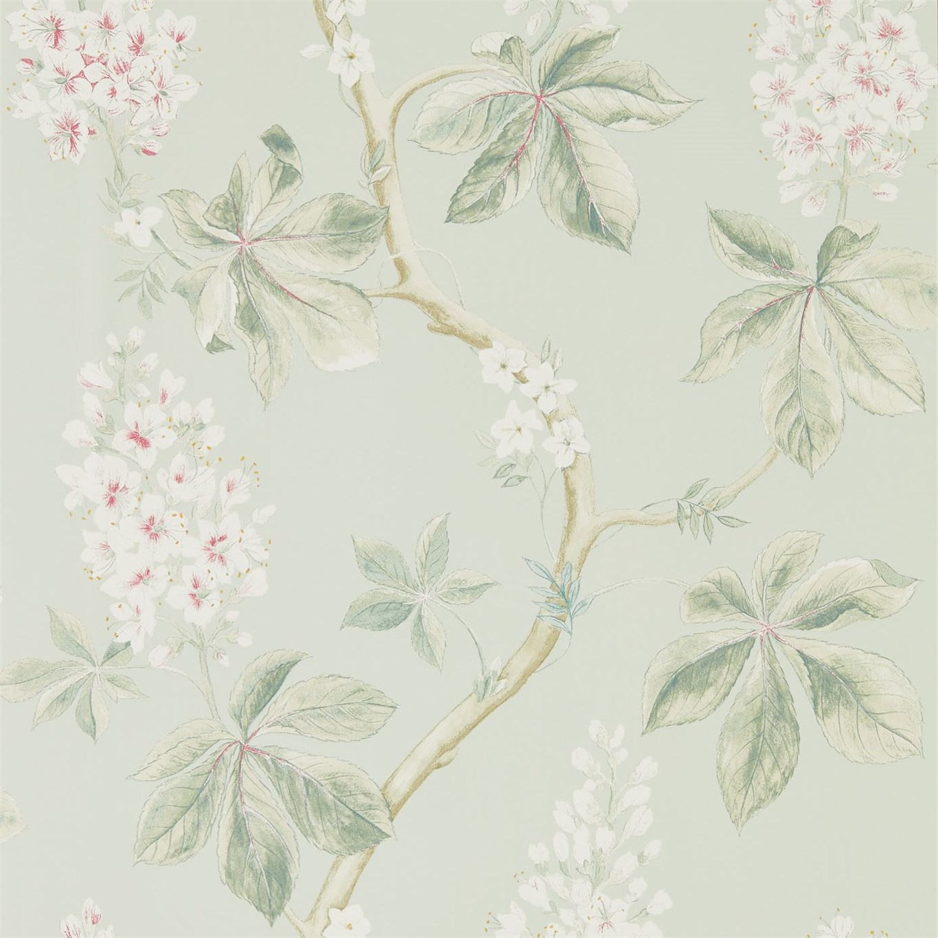 Wallpaper - Sanderson Woodland Walk Wallpapers Chestnut Tree Seaspray/Peony