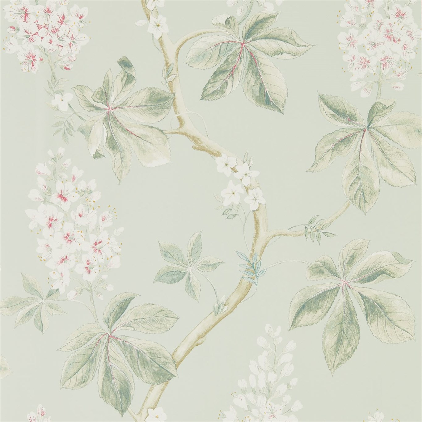 Tapet - Sanderson Woodland Walk Wallpapers Chestnut Tree Seaspray/Peony