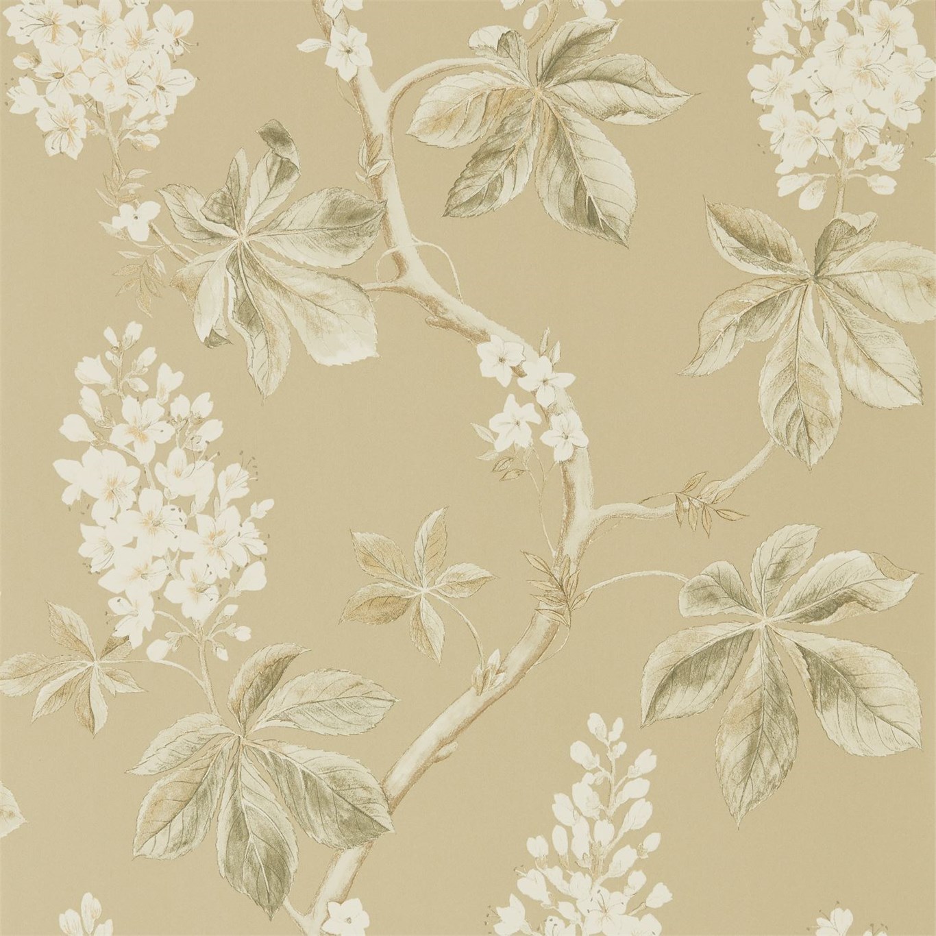 Tapet - Sanderson Woodland Walk Wallpapers Chestnut Tree Wheat/Pebble