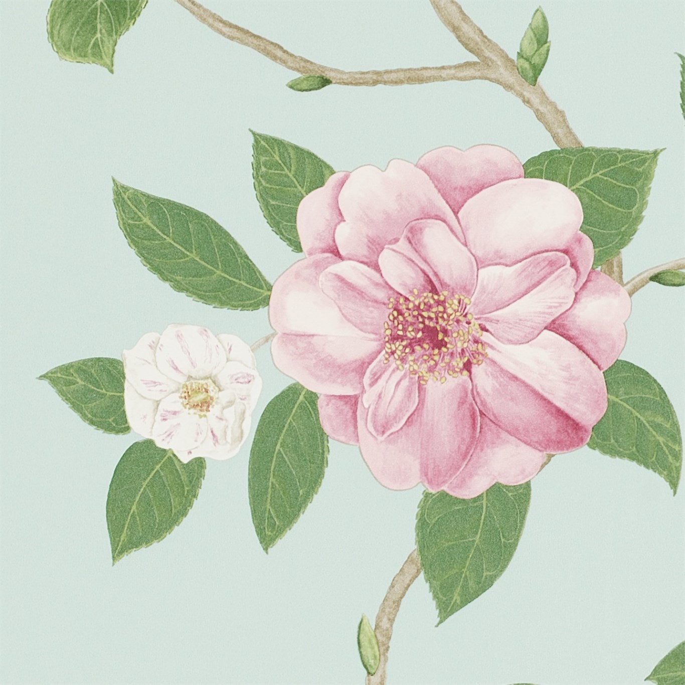 Wallpaper - Sanderson Voyage of Discovery Christabel Pink/Sky