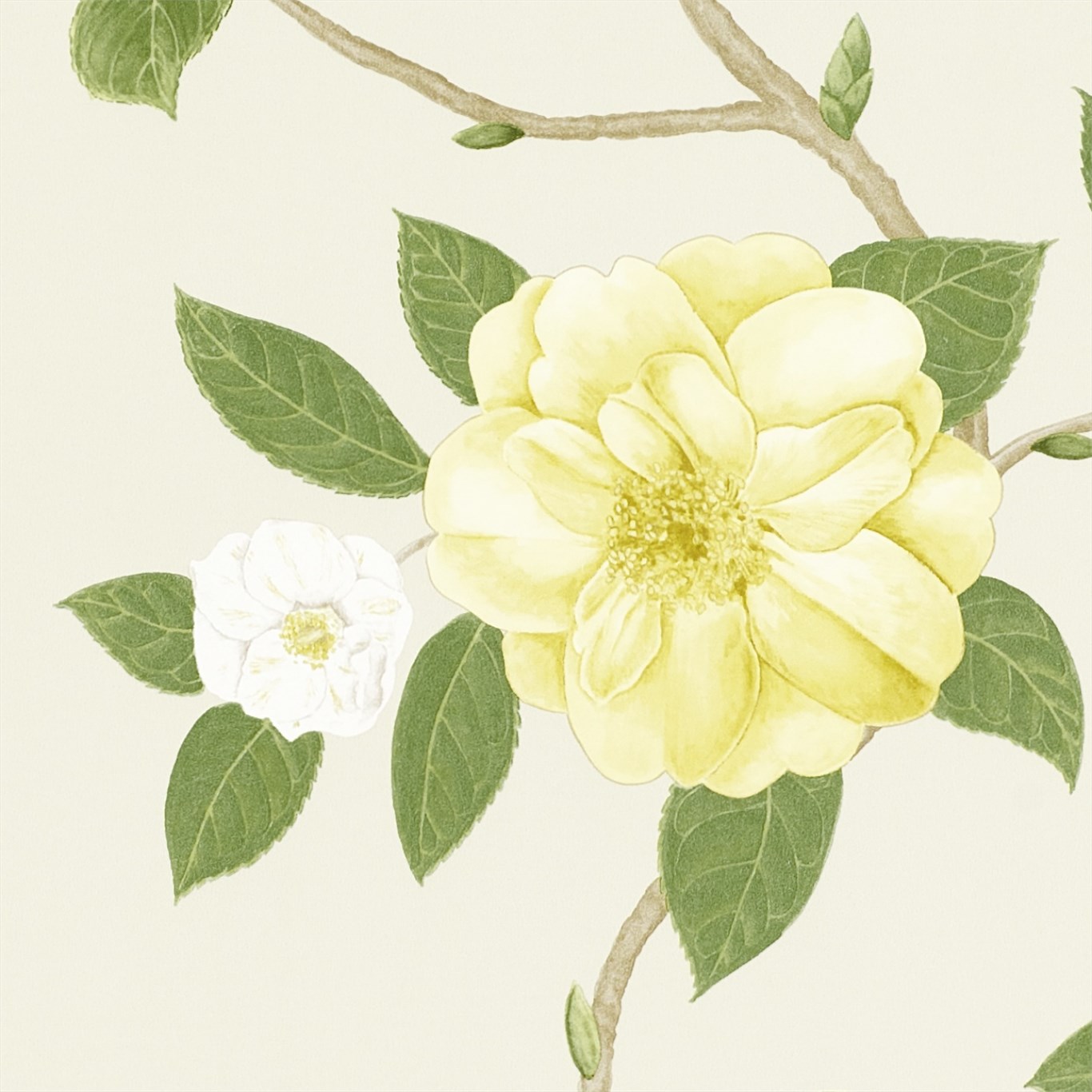Wallpaper - Sanderson Voyage of Discovery Christabel Yellow/Ivory