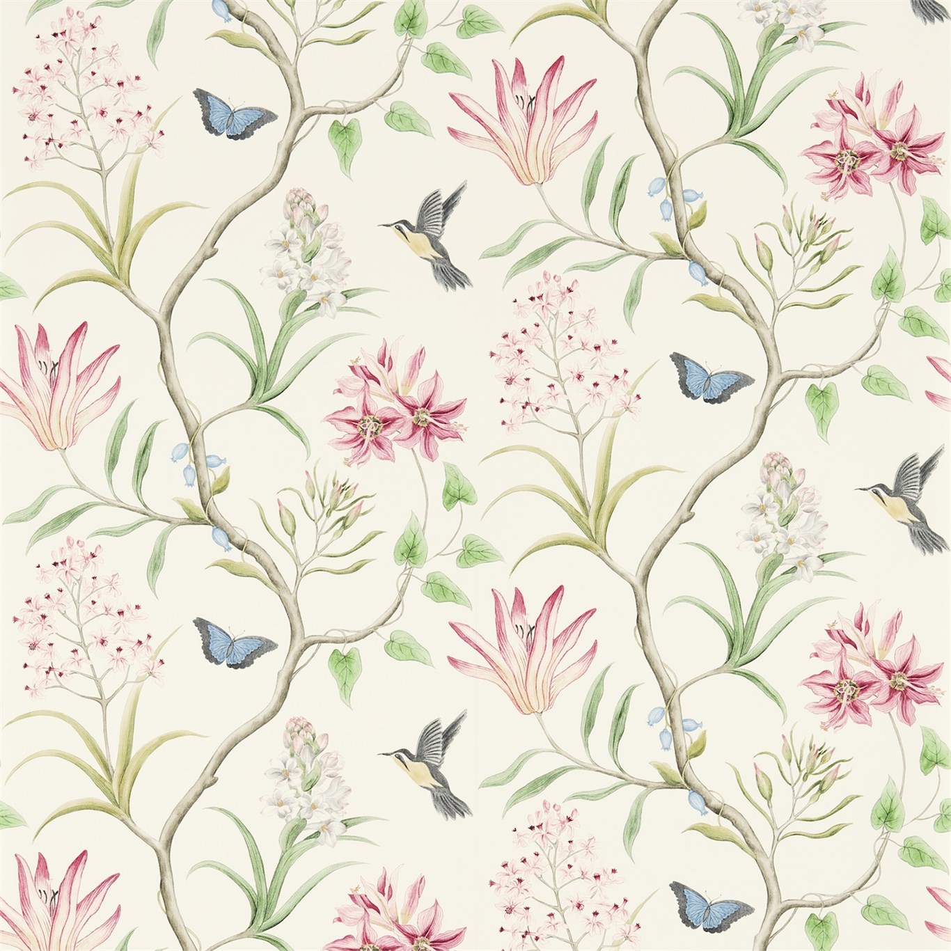 Wallpaper - Sanderson Voyage of Discovery Clementine Chintz