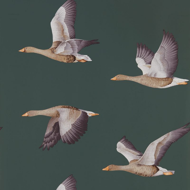 Tapet - Sanderson Elysian Elysian Geese (Wallpaper) Amsterdam Green