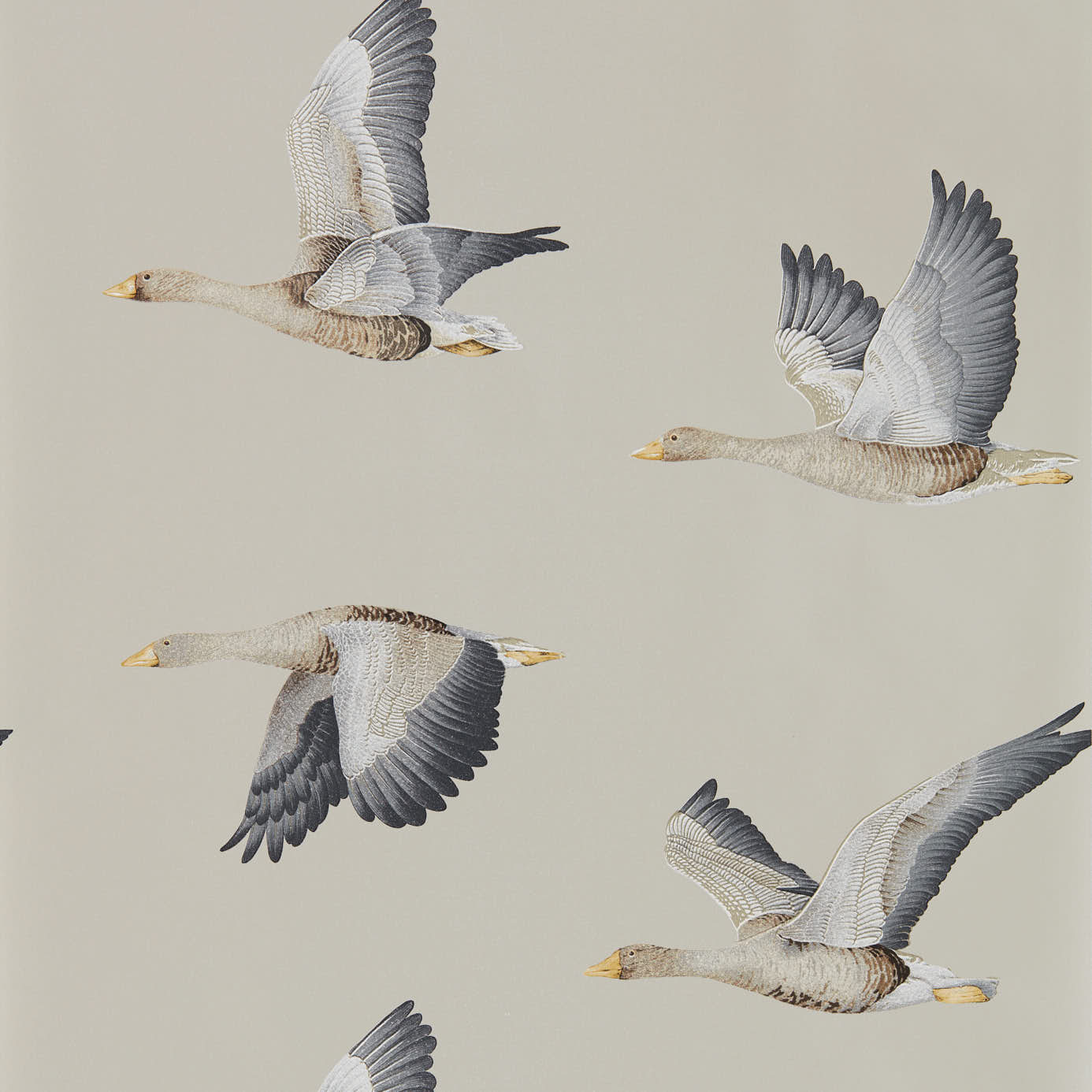 Wallpaper - Sanderson Elysian Elysian Geese (Wallpaper) Gilver