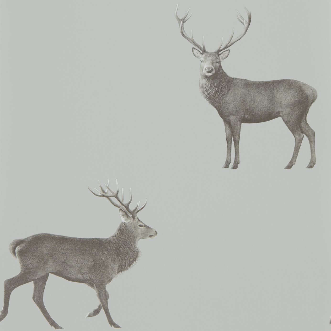 Tapet - Sanderson Elysian Evesham Deer (Wallpaper) Silver Grey