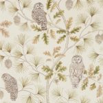 Tapet-Sanderson-Elysian-Owlswick-Wallpaper-Briarwood-1