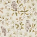 Tapet – Sanderson – Elysian – Owlswick (Wallpaper) – Briarwood