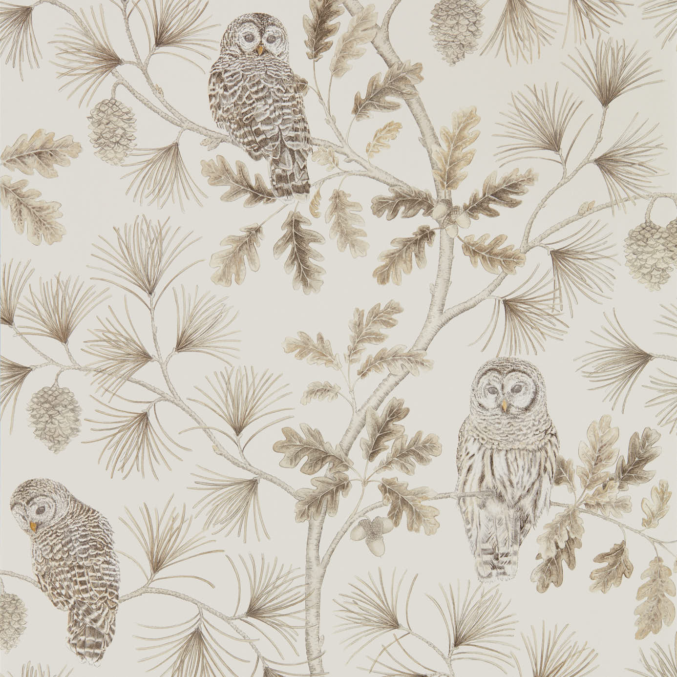 Wallpaper - Sanderson Elysian Owlswick (Wallpaper) Linen
