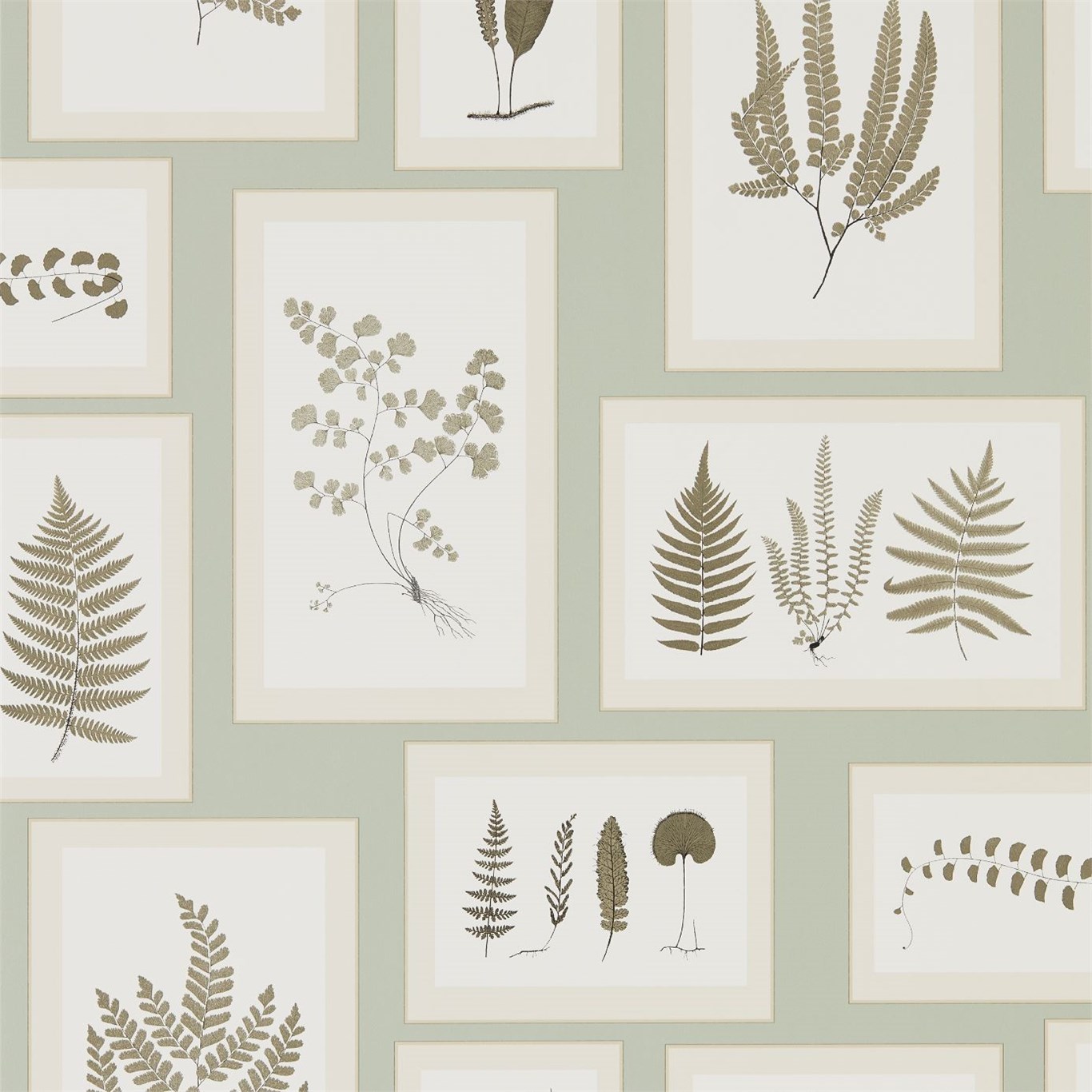 Tapet - Sanderson Woodland Walk Wallpapers Fern Gallery Blue/Sepia