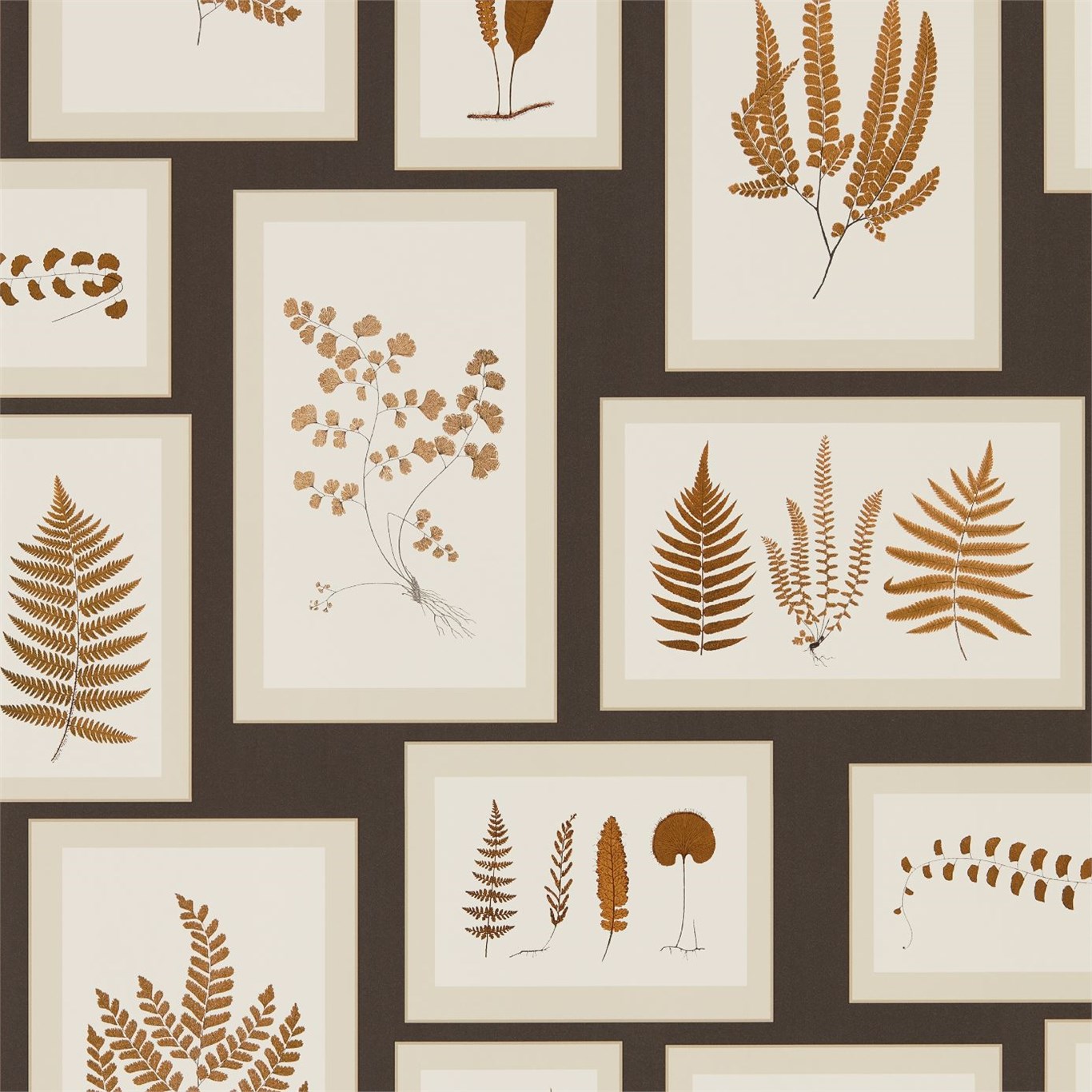 Tapet - Sanderson Woodland Walk Wallpapers Fern Gallery Charcoal/Spice