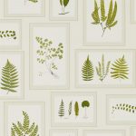 Wallpaper – Sanderson – Woodland Walk- Fern Gallery – Ivory/Green