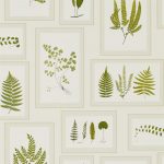 Tapet-Sanderson-Fern-Gallery-IvoryGreen-3