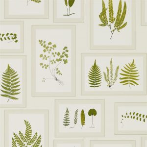 Wallpaper - Sanderson Woodland Walk Wallpapers Fern Gallery Ivory/Green